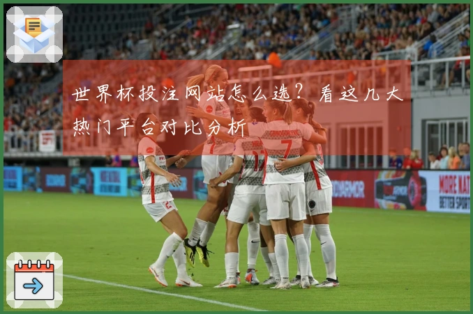 世界杯投注网站怎么选？看这几大热门平台对比分析