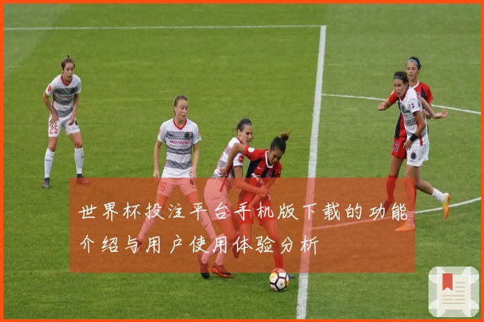 世界杯投注平台手机版下载的功能介绍与用户使用体验分析
