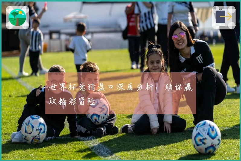 世界杯竞猜盘口深度分析，助你赢取精彩冒险
