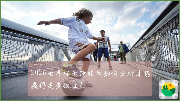 2026世界杯竞猜赔率如何分析才能赢得更多投注？