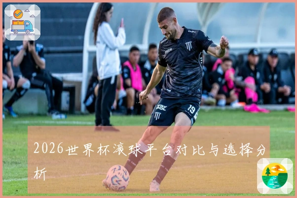2026世界杯滚球平台对比与选择分析