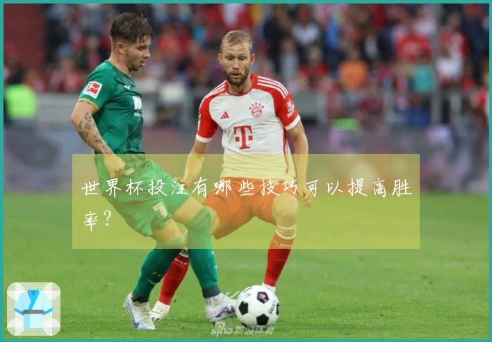 世界杯投注有哪些技巧可以提高胜率？
