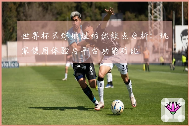 世界杯买球地址的优缺点分析：玩家使用体验与平台功能对比