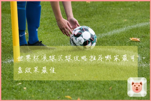世界杯滚球买球攻略推荐哪家最可靠效果最佳
