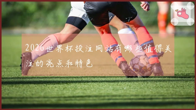 2026世界杯投注网站有哪些值得关注的亮点和特色